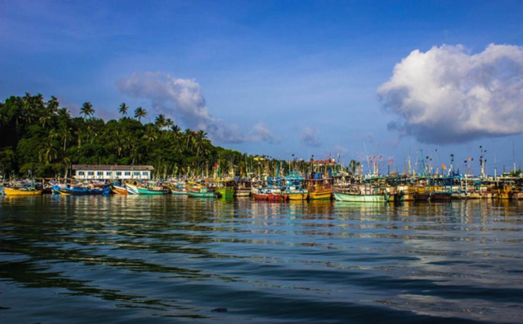 Coralworld Hotel Mirissa Bagian luar foto
